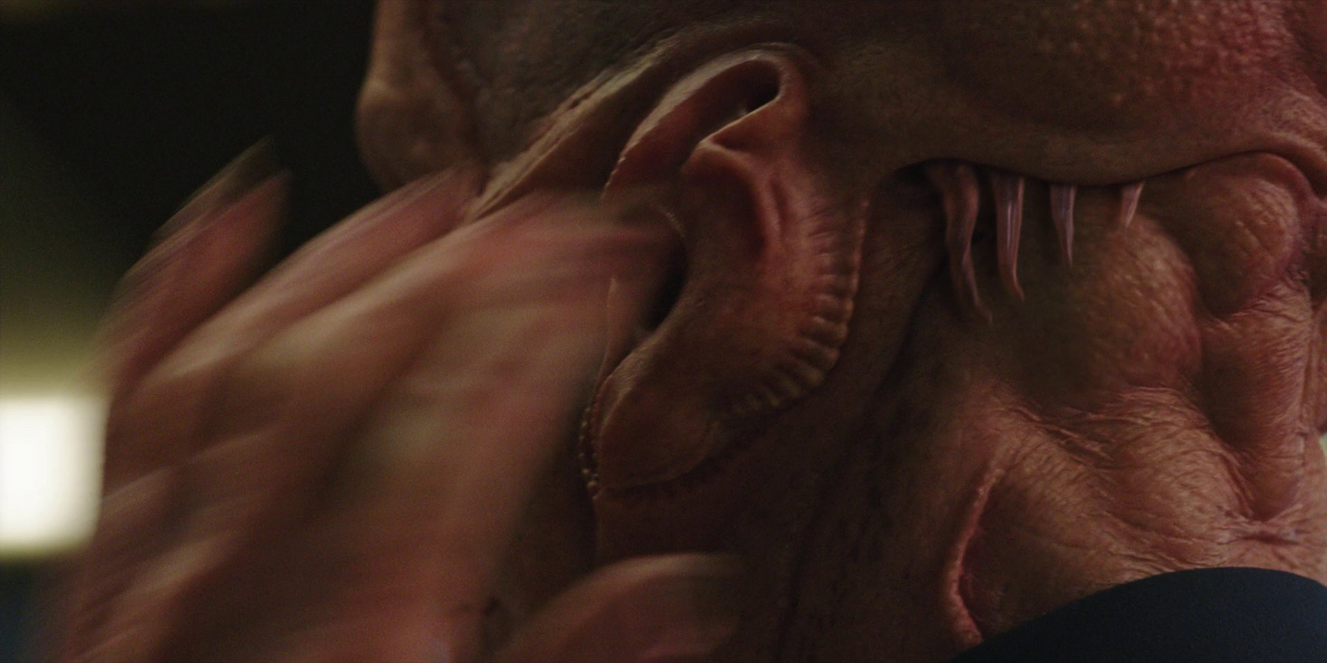 extant_StarTrekDiscovery_1x05-ChooseYourPain_1095.jpg