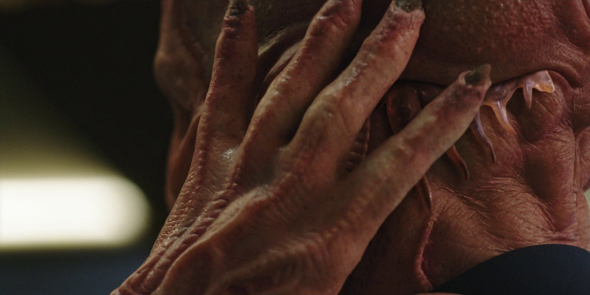 extant_StarTrekDiscovery_1x05-ChooseYourPain_1096.jpg