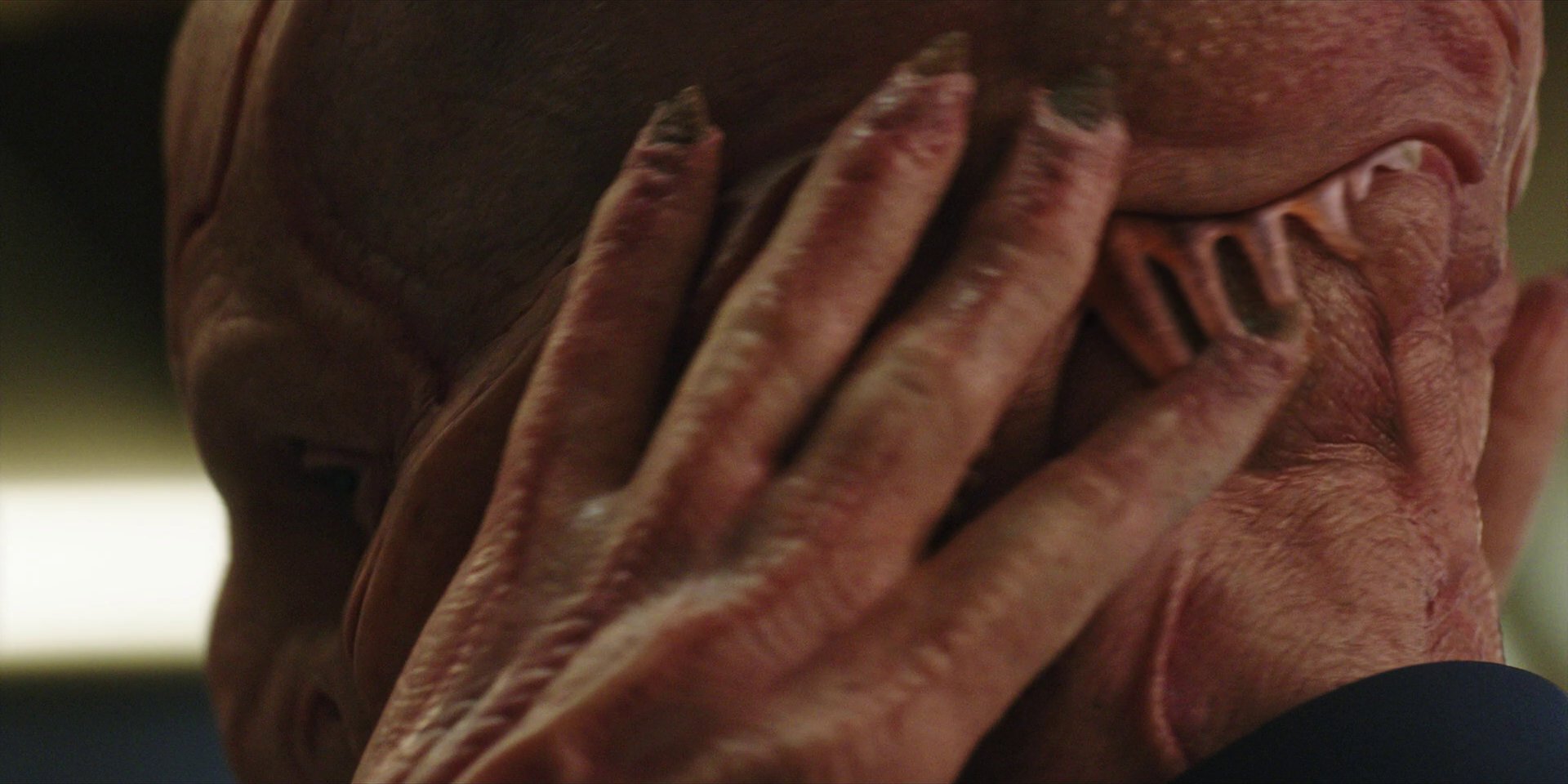 extant_StarTrekDiscovery_1x05-ChooseYourPain_1098.jpg