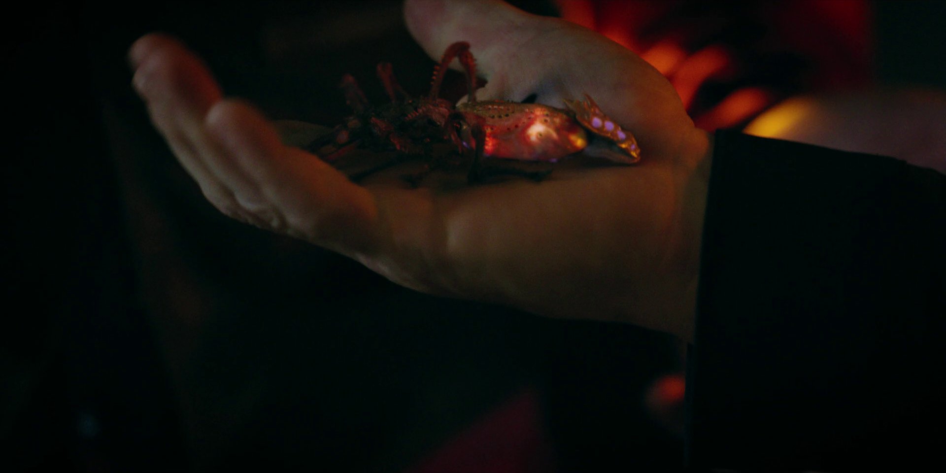 extant_StarTrekDiscovery_1x05-ChooseYourPain_2968.jpg