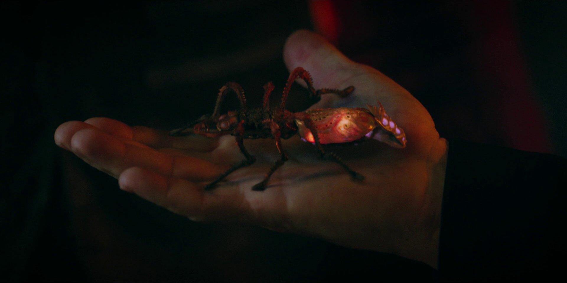 extant_StarTrekDiscovery_1x05-ChooseYourPain_2970.jpg