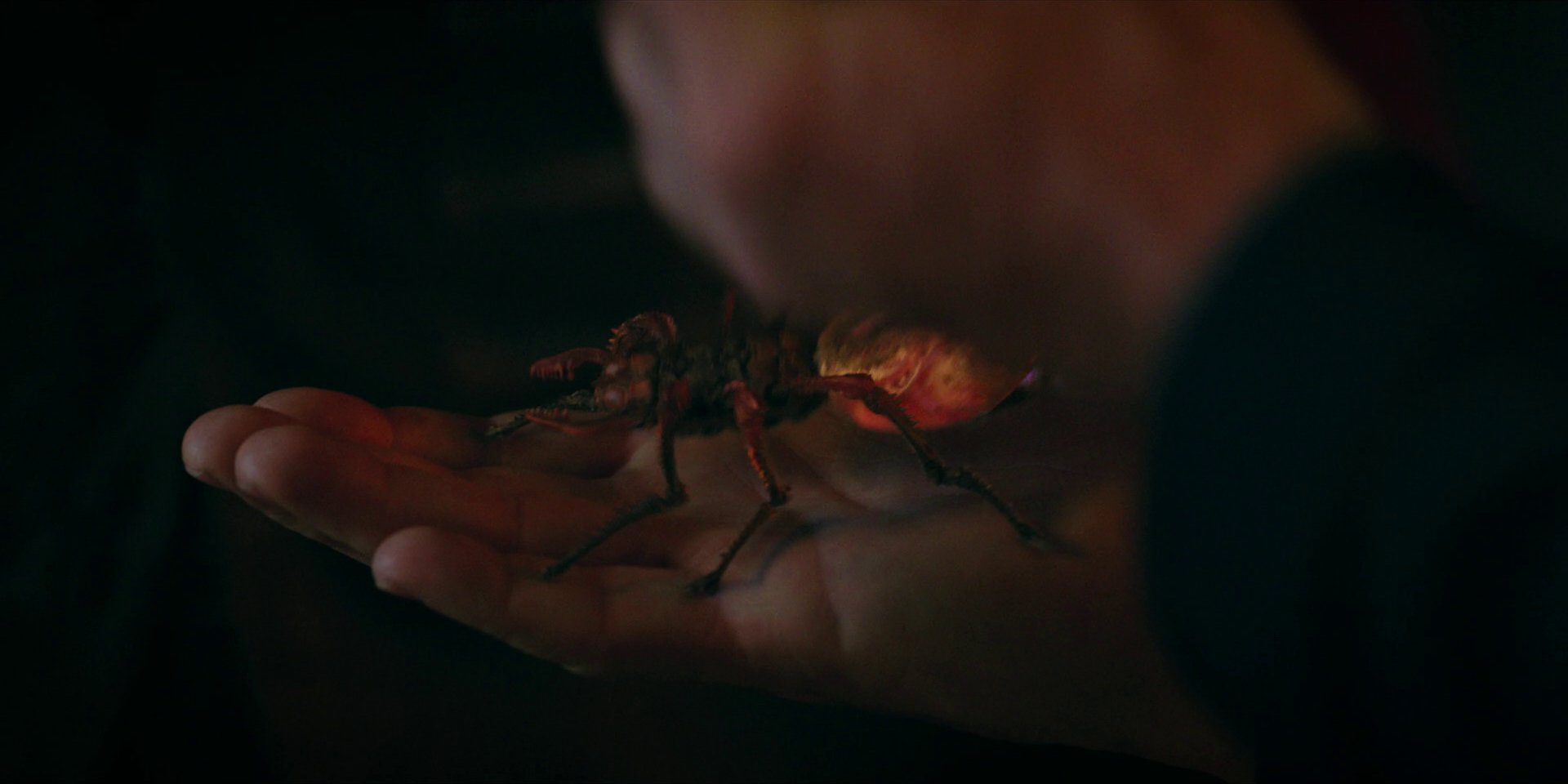 extant_StarTrekDiscovery_1x05-ChooseYourPain_2976.jpg