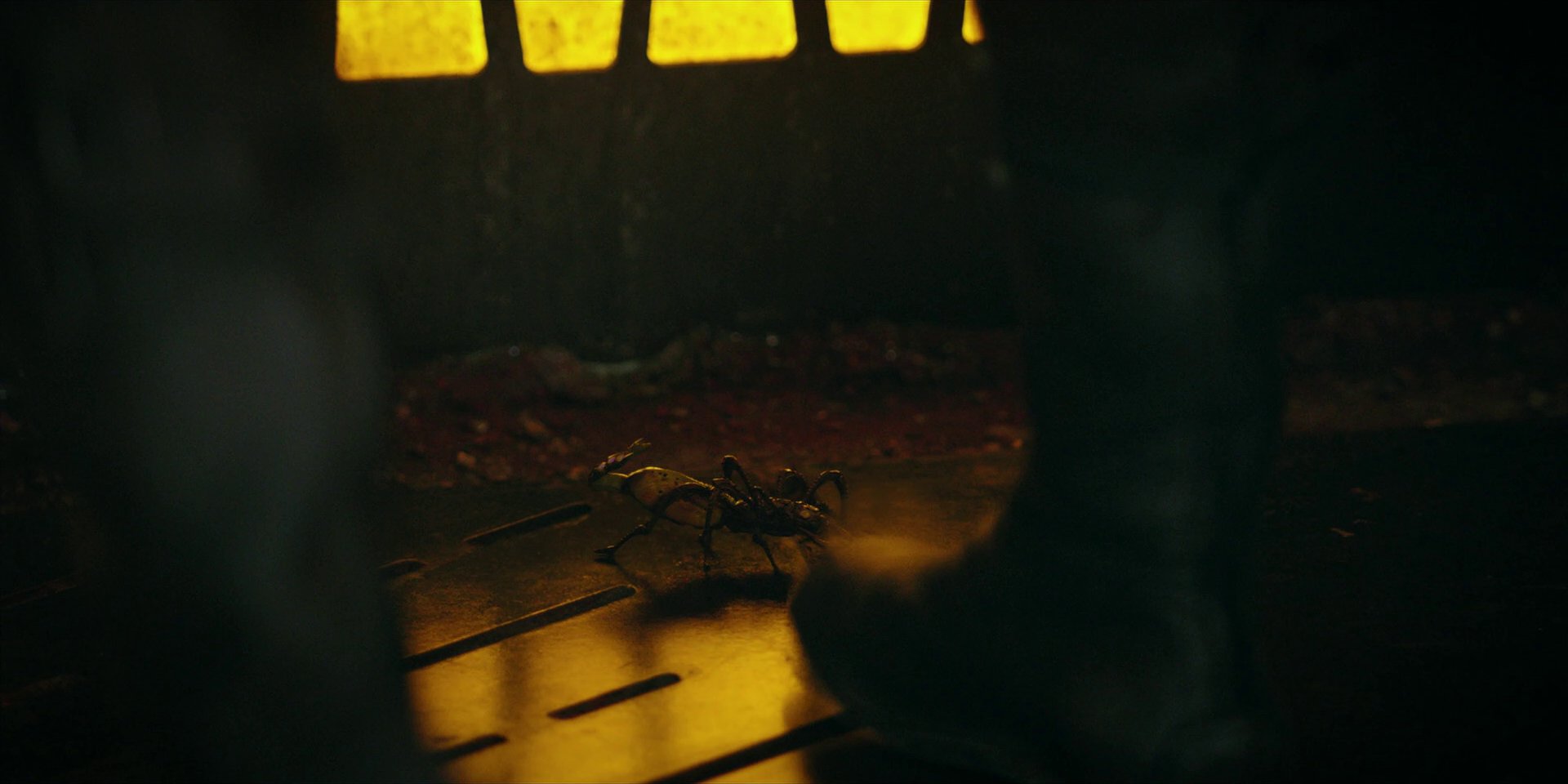 extant_StarTrekDiscovery_1x05-ChooseYourPain_3018.jpg