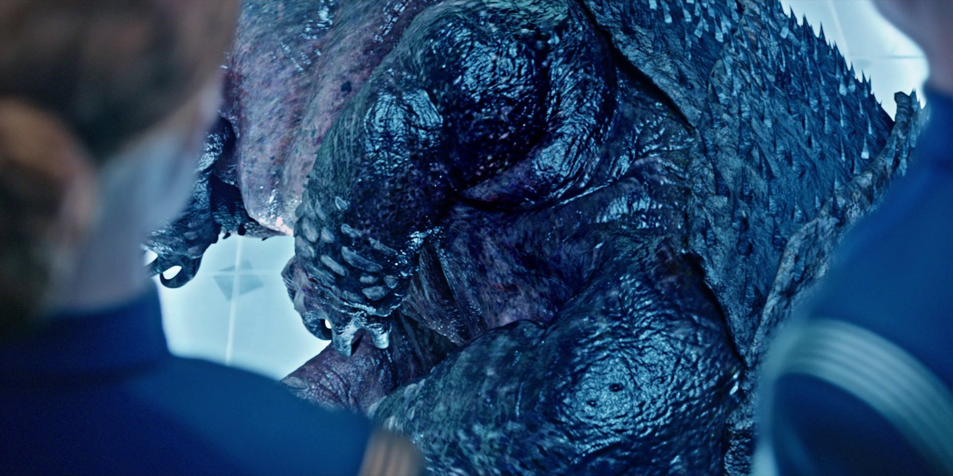 extant_StarTrekDiscovery_1x05-ChooseYourPain_3347.jpg