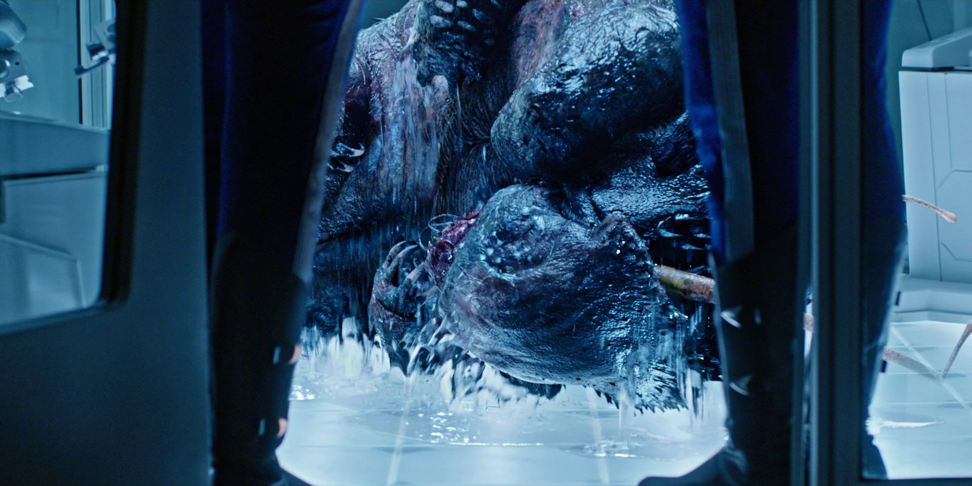 extant_StarTrekDiscovery_1x05-ChooseYourPain_3357.jpg