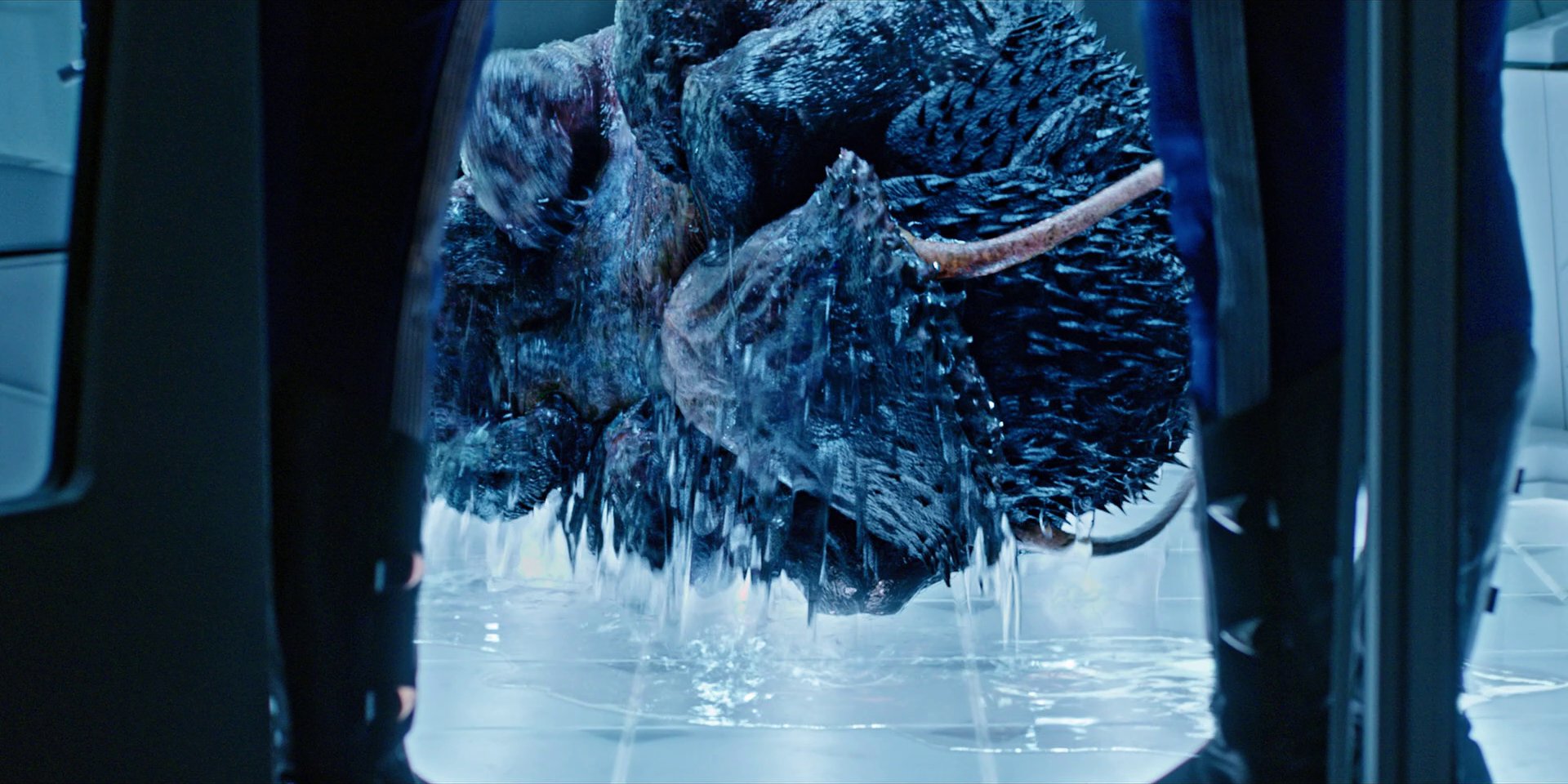extant_StarTrekDiscovery_1x05-ChooseYourPain_3359.jpg