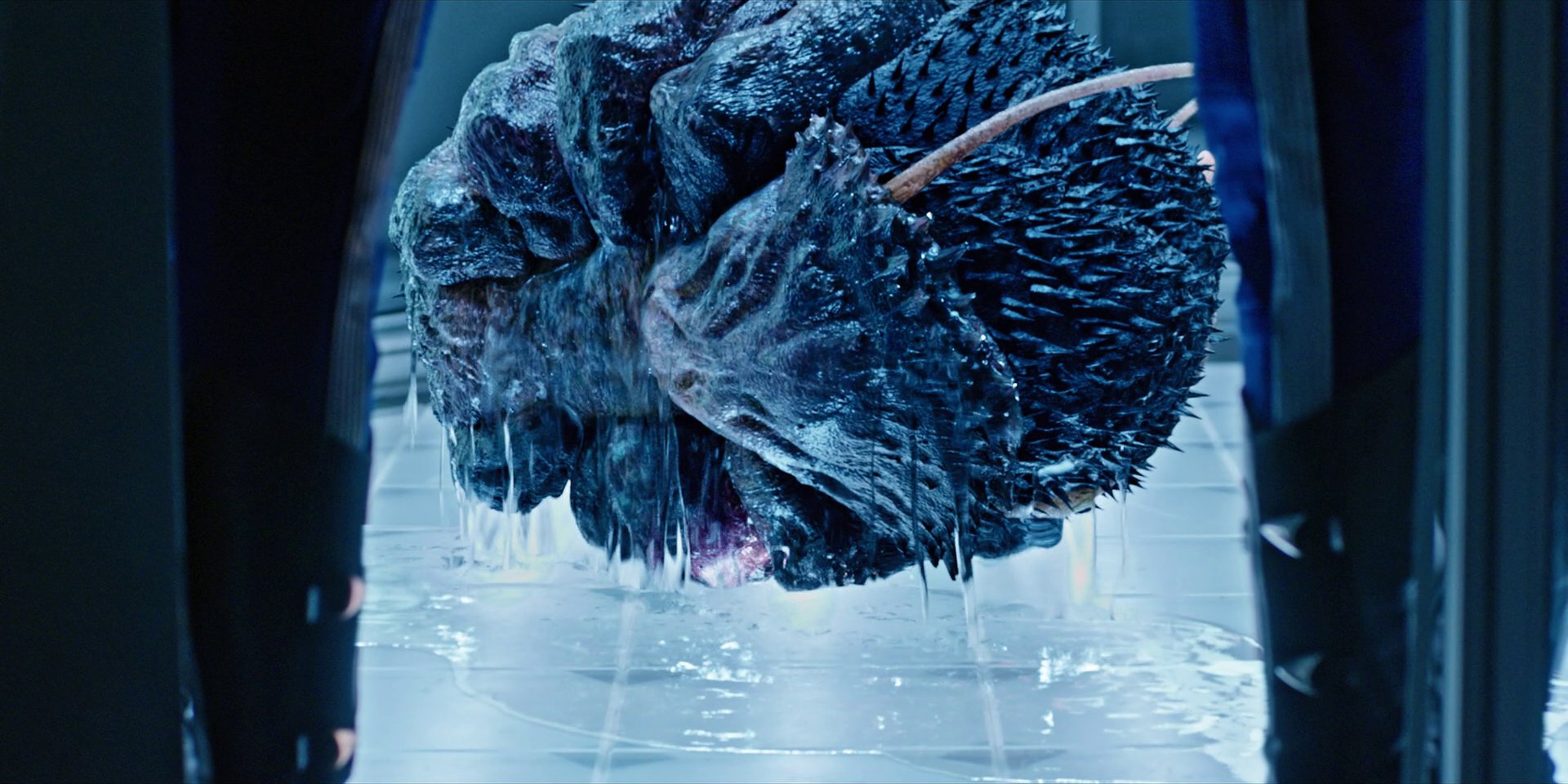 extant_StarTrekDiscovery_1x05-ChooseYourPain_3361.jpg