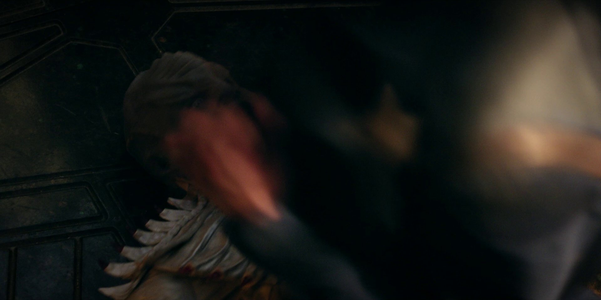 extant_StarTrekDiscovery_1x05-ChooseYourPain_3867.jpg