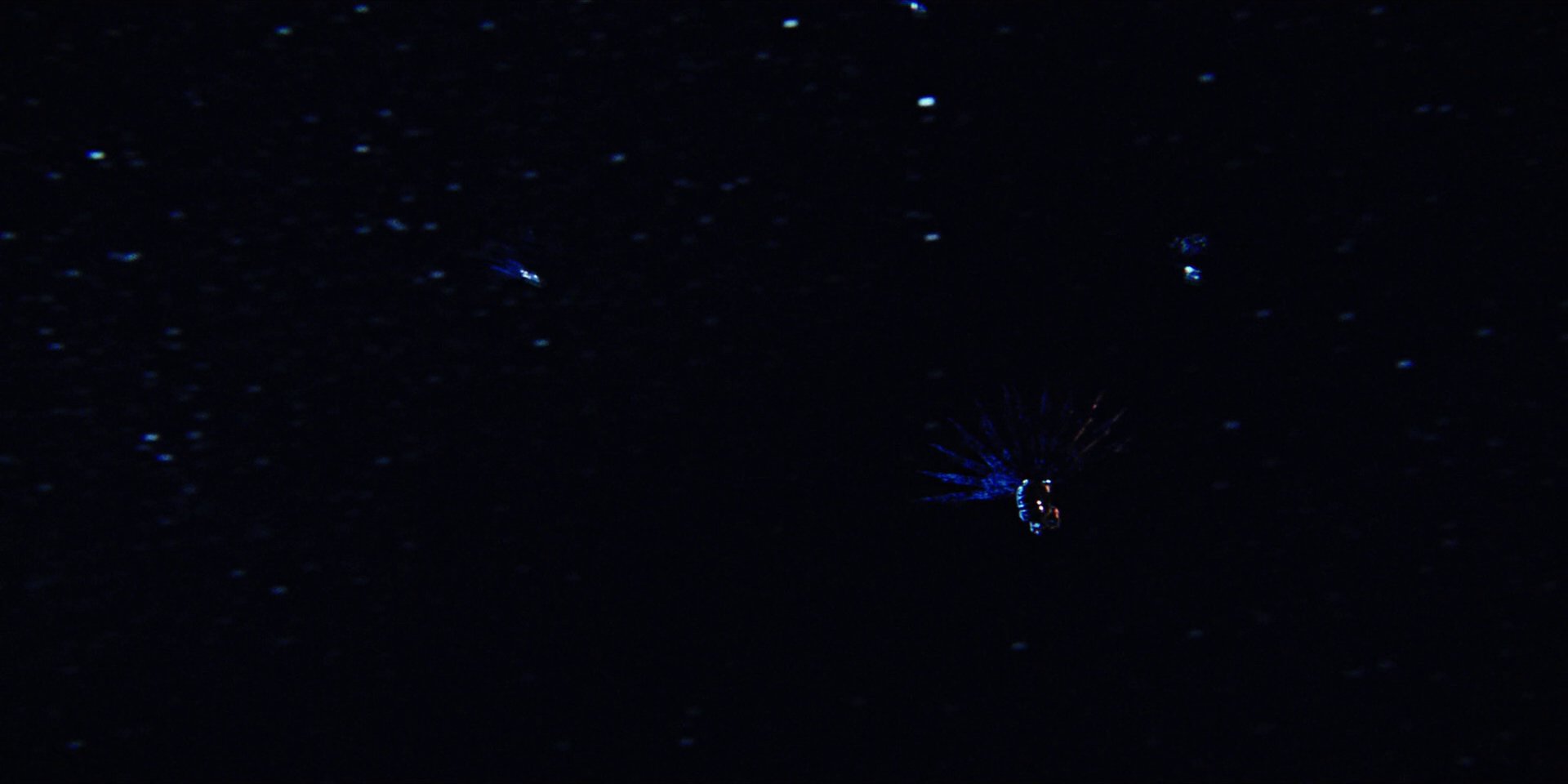 extant_StarTrekDiscovery_1x05-ChooseYourPain_3935.jpg