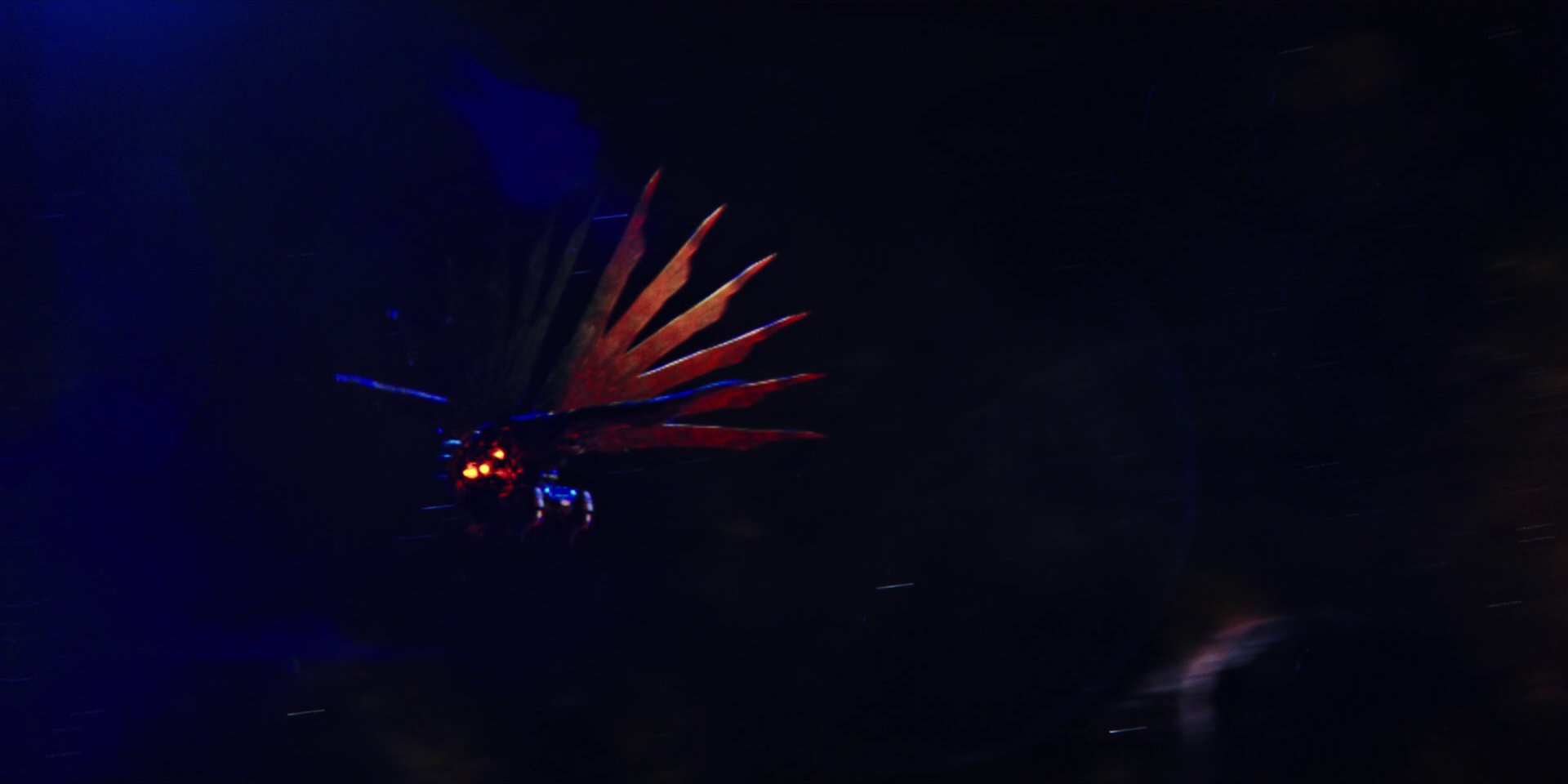 extant_StarTrekDiscovery_1x05-ChooseYourPain_3985.jpg