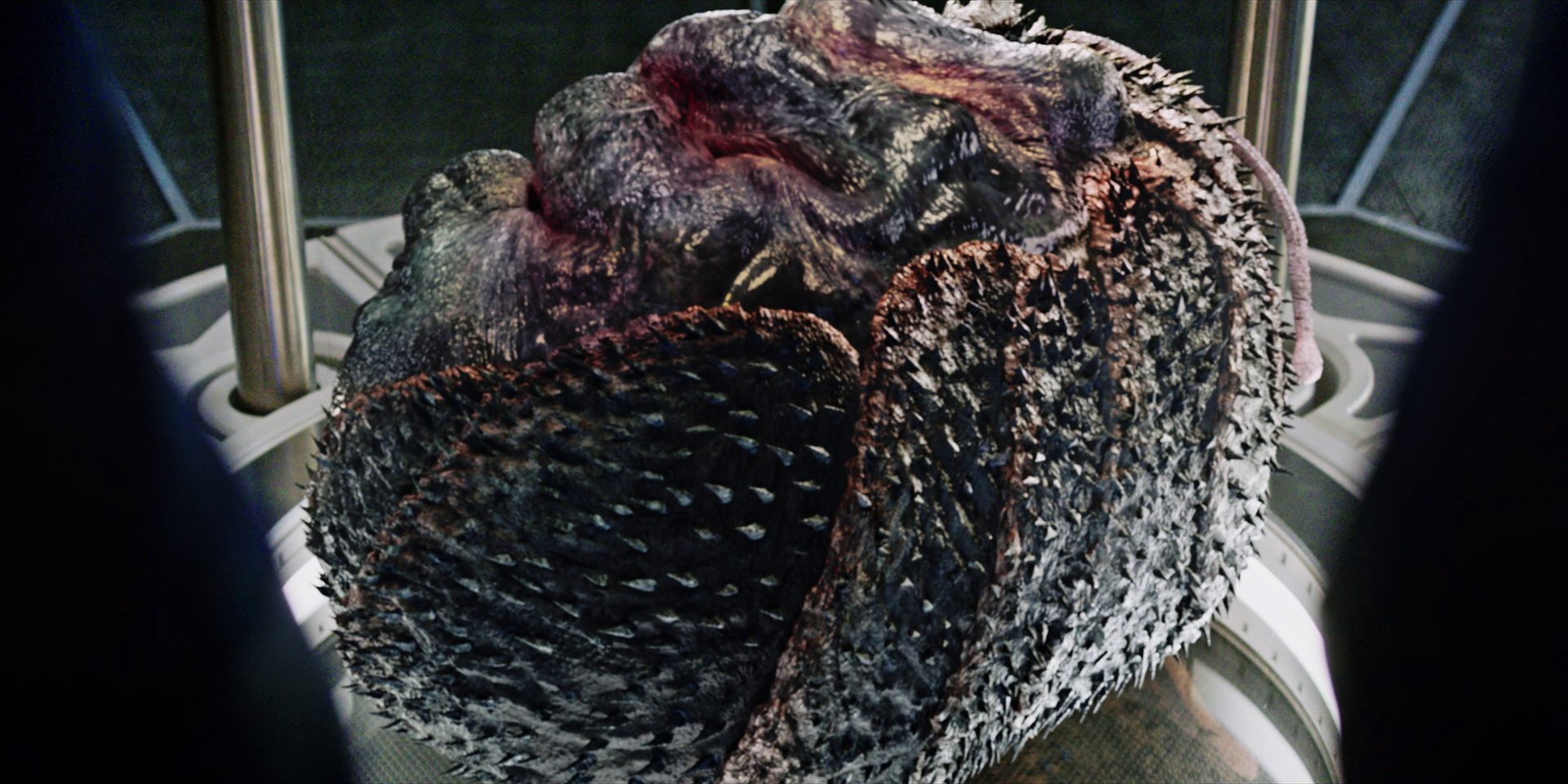 extant_StarTrekDiscovery_1x05-ChooseYourPain_4697.jpg