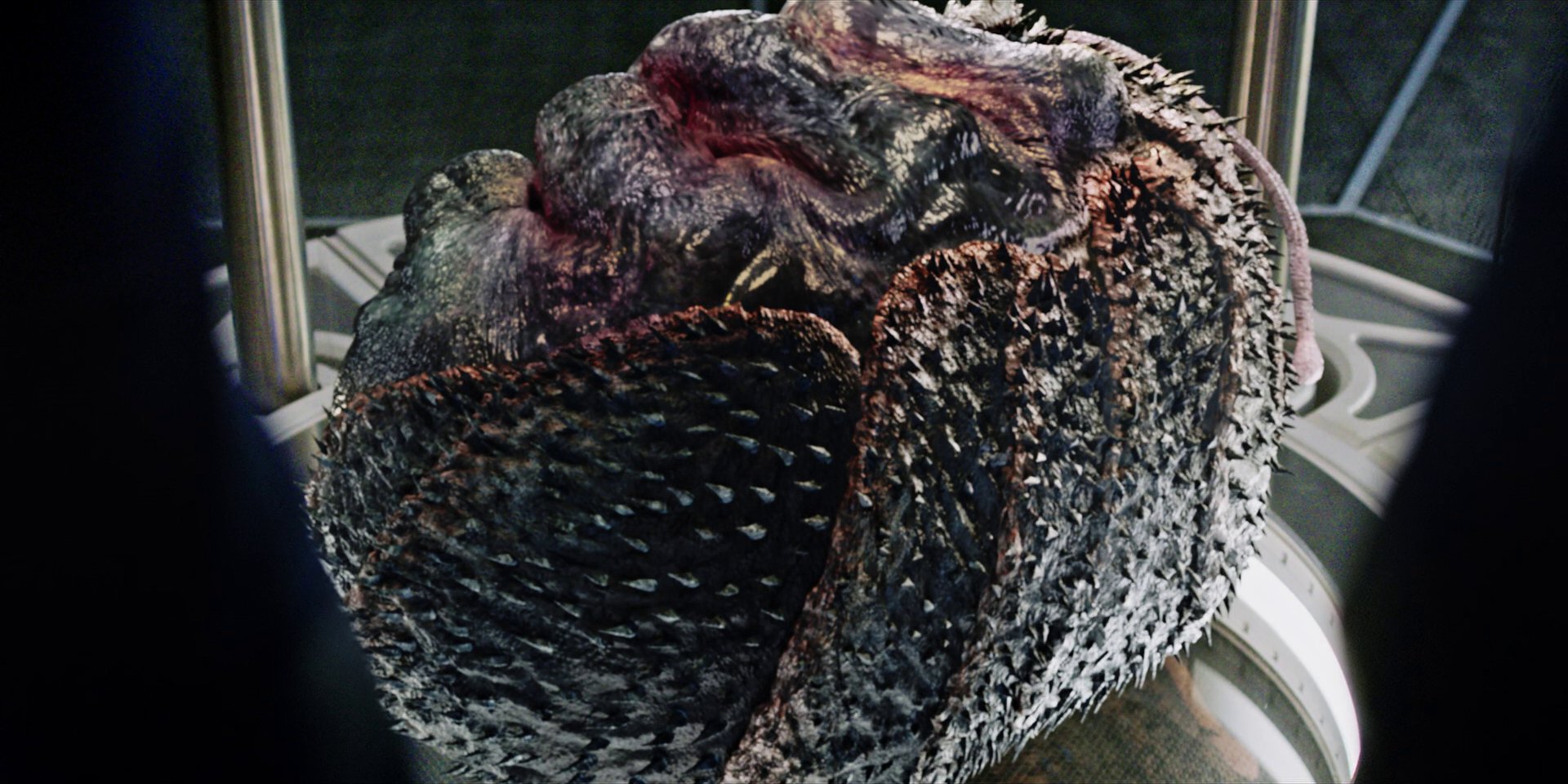 extant_StarTrekDiscovery_1x05-ChooseYourPain_4701.jpg
