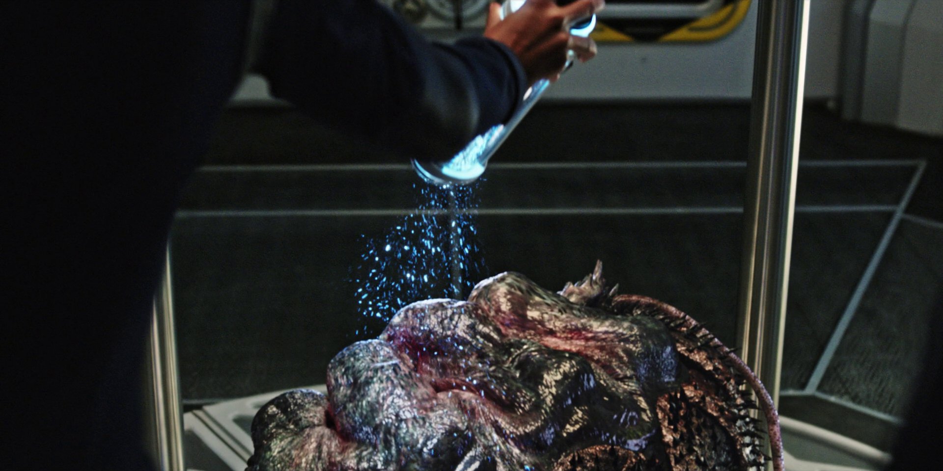 extant_StarTrekDiscovery_1x05-ChooseYourPain_4712.jpg