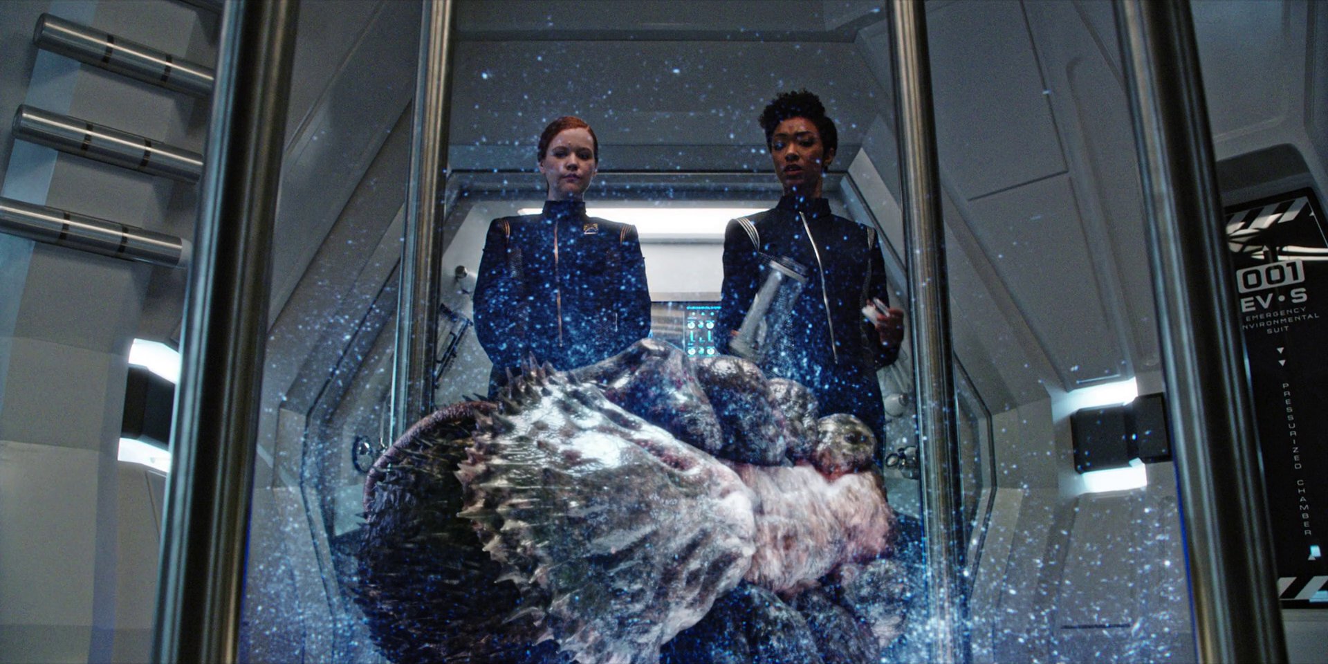 extant_StarTrekDiscovery_1x05-ChooseYourPain_4719.jpg