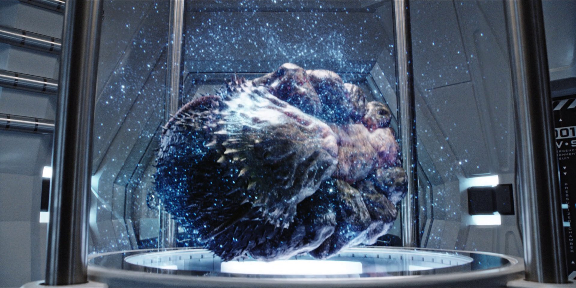 extant_StarTrekDiscovery_1x05-ChooseYourPain_4733.jpg