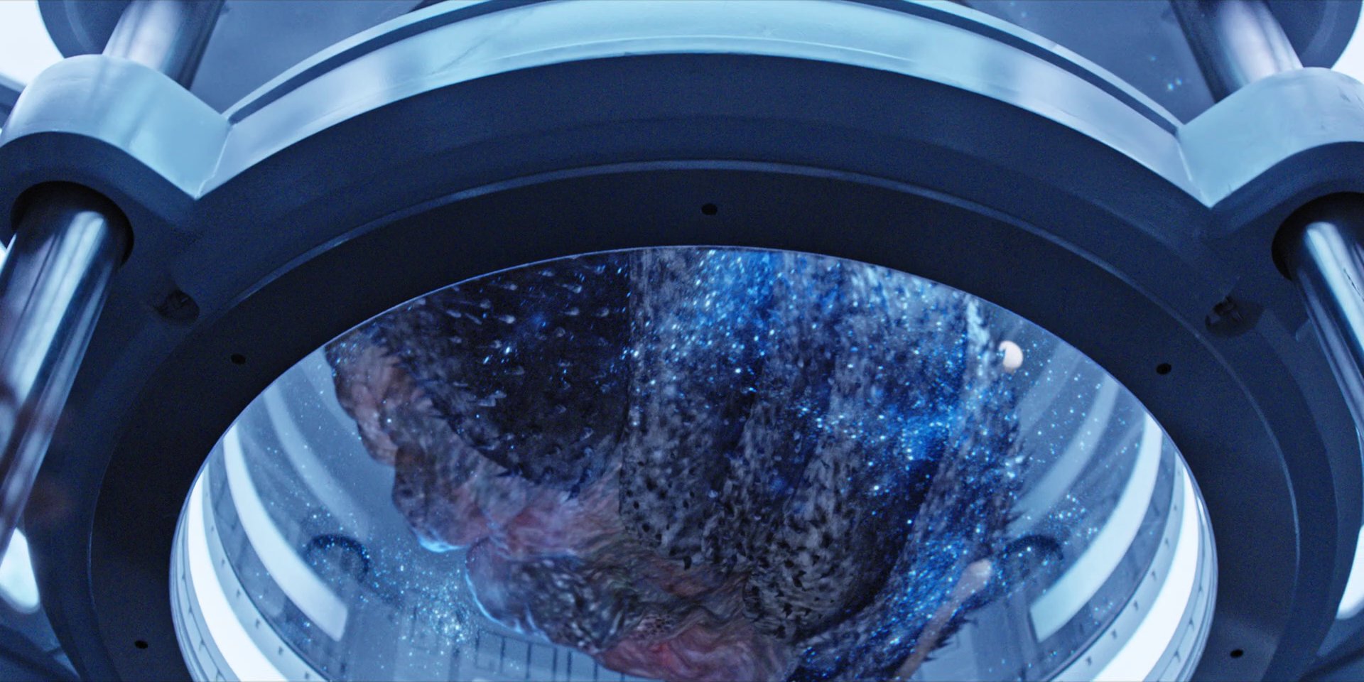 extant_StarTrekDiscovery_1x05-ChooseYourPain_4740.jpg