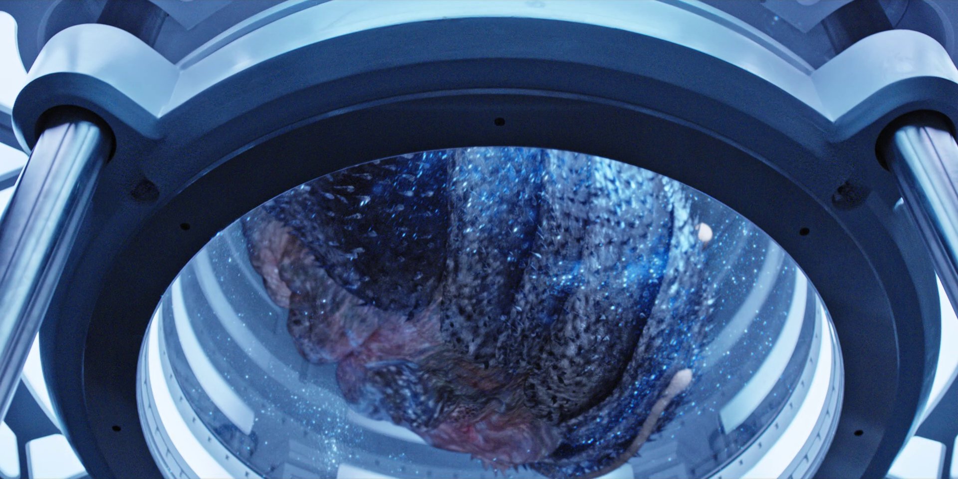 extant_StarTrekDiscovery_1x05-ChooseYourPain_4741.jpg