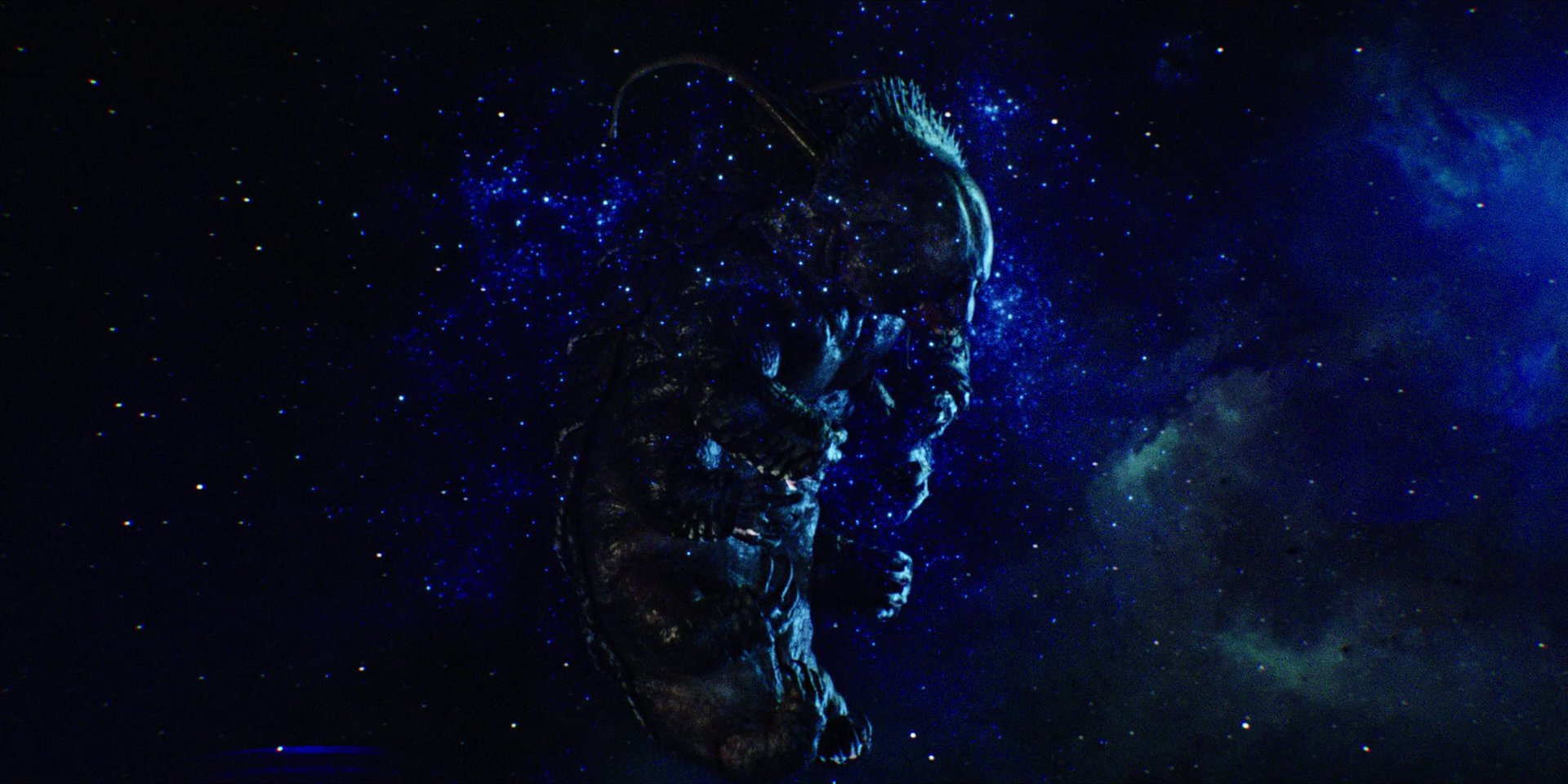 extant_StarTrekDiscovery_1x05-ChooseYourPain_4769.jpg