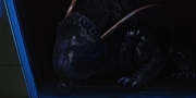 extant_StarTrekDiscovery_1x05-ChooseYourPain_0272.jpg