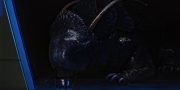extant_StarTrekDiscovery_1x05-ChooseYourPain_0275.jpg
