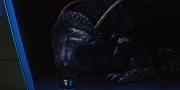 extant_StarTrekDiscovery_1x05-ChooseYourPain_0276.jpg