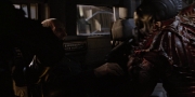 Filename=extant_StarTrekDiscovery_1x05-ChooseYourPain_0805.jpg
Filesize=175KiB
Dimensions=1920x960
Date added=Jan 02, 2019 extant_StarTrekDiscovery_1x05-ChooseYourPain_0805.jpg