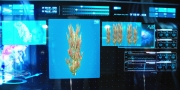 extant_StarTrekDiscovery_1x05-ChooseYourPain_2228.jpg