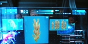 extant_StarTrekDiscovery_1x05-ChooseYourPain_2230.jpg