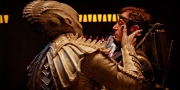 Filename=extant_StarTrekDiscovery_1x05-ChooseYourPain_2487.jpg
Filesize=229KiB
Dimensions=1920x960
Date added=Jan 02, 2019 extant_StarTrekDiscovery_1x05-ChooseYourPain_2487.jpg