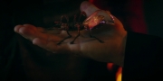 Filename=extant_StarTrekDiscovery_1x05-ChooseYourPain_2969.jpg
Filesize=84KiB
Dimensions=1920x960
Date added=Jan 02, 2019 extant_StarTrekDiscovery_1x05-ChooseYourPain_2969.jpg