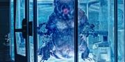 Filename=extant_StarTrekDiscovery_1x05-ChooseYourPain_3271.jpg
Filesize=328KiB
Dimensions=1920x960
Date added=Jan 02, 2019 extant_StarTrekDiscovery_1x05-ChooseYourPain_3271.jpg