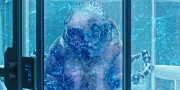 Filename=extant_StarTrekDiscovery_1x05-ChooseYourPain_3319.jpg
Filesize=312KiB
Dimensions=1920x960
Date added=Jan 02, 2019 extant_StarTrekDiscovery_1x05-ChooseYourPain_3319.jpg