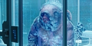 Filename=extant_StarTrekDiscovery_1x05-ChooseYourPain_3321.jpg
Filesize=284KiB
Dimensions=1920x960
Date added=Jan 02, 2019 extant_StarTrekDiscovery_1x05-ChooseYourPain_3321.jpg