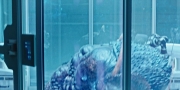 Filename=extant_StarTrekDiscovery_1x05-ChooseYourPain_3322.jpg
Filesize=237KiB
Dimensions=1920x960
Date added=Jan 02, 2019 extant_StarTrekDiscovery_1x05-ChooseYourPain_3322.jpg