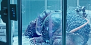 Filename=extant_StarTrekDiscovery_1x05-ChooseYourPain_3323.jpg
Filesize=261KiB
Dimensions=1920x960
Date added=Jan 02, 2019 extant_StarTrekDiscovery_1x05-ChooseYourPain_3323.jpg