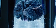 Filename=extant_StarTrekDiscovery_1x05-ChooseYourPain_3360.jpg
Filesize=282KiB
Dimensions=1920x960
Date added=Jan 02, 2019 extant_StarTrekDiscovery_1x05-ChooseYourPain_3360.jpg