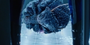 Filename=extant_StarTrekDiscovery_1x05-ChooseYourPain_3361.jpg
Filesize=279KiB
Dimensions=1920x960
Date added=Jan 02, 2019 extant_StarTrekDiscovery_1x05-ChooseYourPain_3361.jpg