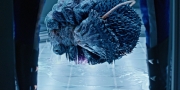 Filename=extant_StarTrekDiscovery_1x05-ChooseYourPain_3362.jpg
Filesize=285KiB
Dimensions=1920x960
Date added=Jan 02, 2019 extant_StarTrekDiscovery_1x05-ChooseYourPain_3362.jpg