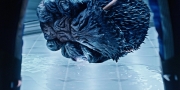 Filename=extant_StarTrekDiscovery_1x05-ChooseYourPain_3368.jpg
Filesize=258KiB
Dimensions=1920x960
Date added=Jan 02, 2019 extant_StarTrekDiscovery_1x05-ChooseYourPain_3368.jpg