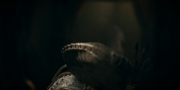 Filename=extant_StarTrekDiscovery_1x05-ChooseYourPain_3890.jpg
Filesize=69KiB
Dimensions=1920x960
Date added=Jan 02, 2019 extant_StarTrekDiscovery_1x05-ChooseYourPain_3890.jpg