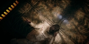 Filename=extant_StarTrekDiscovery_1x05-ChooseYourPain_3895.jpg
Filesize=277KiB
Dimensions=1920x960
Date added=Jan 02, 2019 extant_StarTrekDiscovery_1x05-ChooseYourPain_3895.jpg