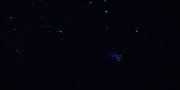Filename=extant_StarTrekDiscovery_1x05-ChooseYourPain_3935.jpg
Filesize=60KiB
Dimensions=1920x960
Date added=Jan 02, 2019 extant_StarTrekDiscovery_1x05-ChooseYourPain_3935.jpg