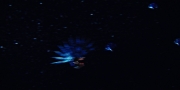 Filename=extant_StarTrekDiscovery_1x05-ChooseYourPain_3936.jpg
Filesize=76KiB
Dimensions=1920x960
Date added=Jan 02, 2019 extant_StarTrekDiscovery_1x05-ChooseYourPain_3936.jpg