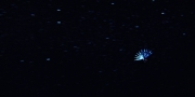 Filename=extant_StarTrekDiscovery_1x05-ChooseYourPain_3937.jpg
Filesize=68KiB
Dimensions=1920x960
Date added=Jan 02, 2019 extant_StarTrekDiscovery_1x05-ChooseYourPain_3937.jpg