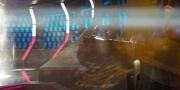 Filename=extant_StarTrekDiscovery_1x05-ChooseYourPain_4111.jpg
Filesize=160KiB
Dimensions=1920x960
Date added=Jan 02, 2019 extant_StarTrekDiscovery_1x05-ChooseYourPain_4111.jpg