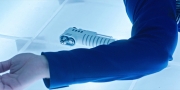 extant_StarTrekDiscovery_1x05-ChooseYourPain_4272.jpg