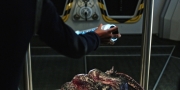 Filename=extant_StarTrekDiscovery_1x05-ChooseYourPain_4709.jpg
Filesize=201KiB
Dimensions=1920x960
Date added=Jan 02, 2019 extant_StarTrekDiscovery_1x05-ChooseYourPain_4709.jpg