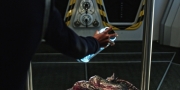 Filename=extant_StarTrekDiscovery_1x05-ChooseYourPain_4710.jpg
Filesize=176KiB
Dimensions=1920x960
Date added=Jan 02, 2019 extant_StarTrekDiscovery_1x05-ChooseYourPain_4710.jpg