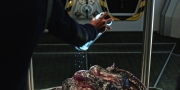 Filename=extant_StarTrekDiscovery_1x05-ChooseYourPain_4711.jpg
Filesize=211KiB
Dimensions=1920x960
Date added=Jan 02, 2019 extant_StarTrekDiscovery_1x05-ChooseYourPain_4711.jpg