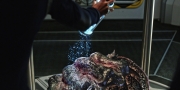 Filename=extant_StarTrekDiscovery_1x05-ChooseYourPain_4712.jpg
Filesize=223KiB
Dimensions=1920x960
Date added=Jan 02, 2019 extant_StarTrekDiscovery_1x05-ChooseYourPain_4712.jpg